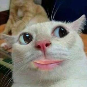 Meet your Posher, Tessa